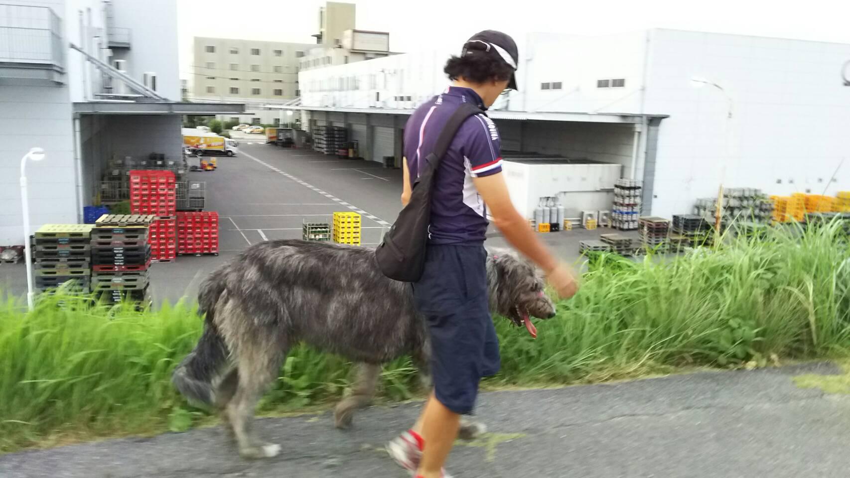 CKM-002 ええと思います。 | 小粋にいきましょ