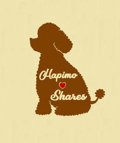 Hapimo Shares 犬服教室 東京 神奈川 千葉 暮里 世田谷 横浜 鎌倉 藤沢 平塚 スワニー山下公園 川崎教室さんのプロフィールページ