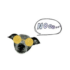 犬旅 酔い止め薬 いぬのいる暮らしはじめました 犬旅 酔い止め薬 いぬのいる暮らしはじめました