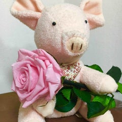 pinkmintのプロフィール