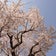 ■私の暮らし方＊今ある幸せに感謝を■