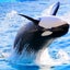 Happytanのサムネイル
