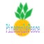 画像 トータルビューティサロン  Pineapple Peaceのユーザープロフィール画像