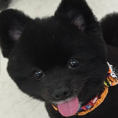 社会福祉法人　壮健会　さくらの丘のプロフィール