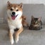 ゆうとろのサムネイル