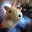 まーのサムネイル