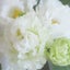 画像 花セラピストインストラクターmichikoのブログ～癒しの花セラピー～のユーザープロフィール画像