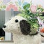 ますぅのサムネイル