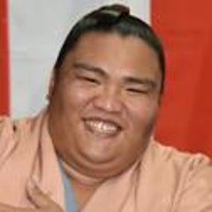 出羽海部屋ー日本相撲協会所属　出羽海一門ーのプロフィール
