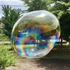 ザリガニ釣り 八王子市 龍正寺の池 ドコイク ザリガニ釣り 八王子市 龍正寺の池 ドコイク