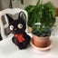 黒小町のサムネイル