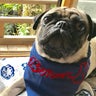 pug23emonのプロフィール