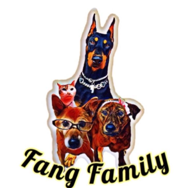 大阪 動物愛護団体一覧 Fang Family 動物保護支援活動