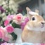 みわぞぅのサムネイル