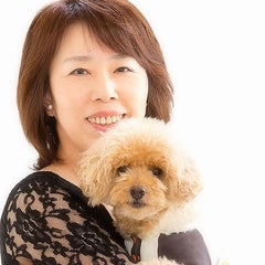 内田文のプロフィール