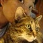 画像 　　Snail Cat Diary-ねこつむり日誌-のユーザープロフィール画像