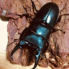 生き物係のプロフィール