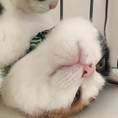 hidegon1104のプロフィール