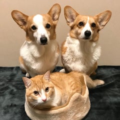 ななかあのプロフィール