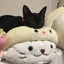 あーりぃ&ルイード のサムネイル
