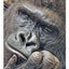 1123yousawaのサムネイル