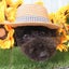あいりんまるのサムネイル