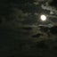 画像 月夜に戌のユーザープロフィール画像