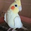 ｊｉｒｏさんとａｓｈのサムネイル