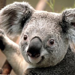 英単語よみかた確認ブログ 英語をよめるチカラ そしてメモ