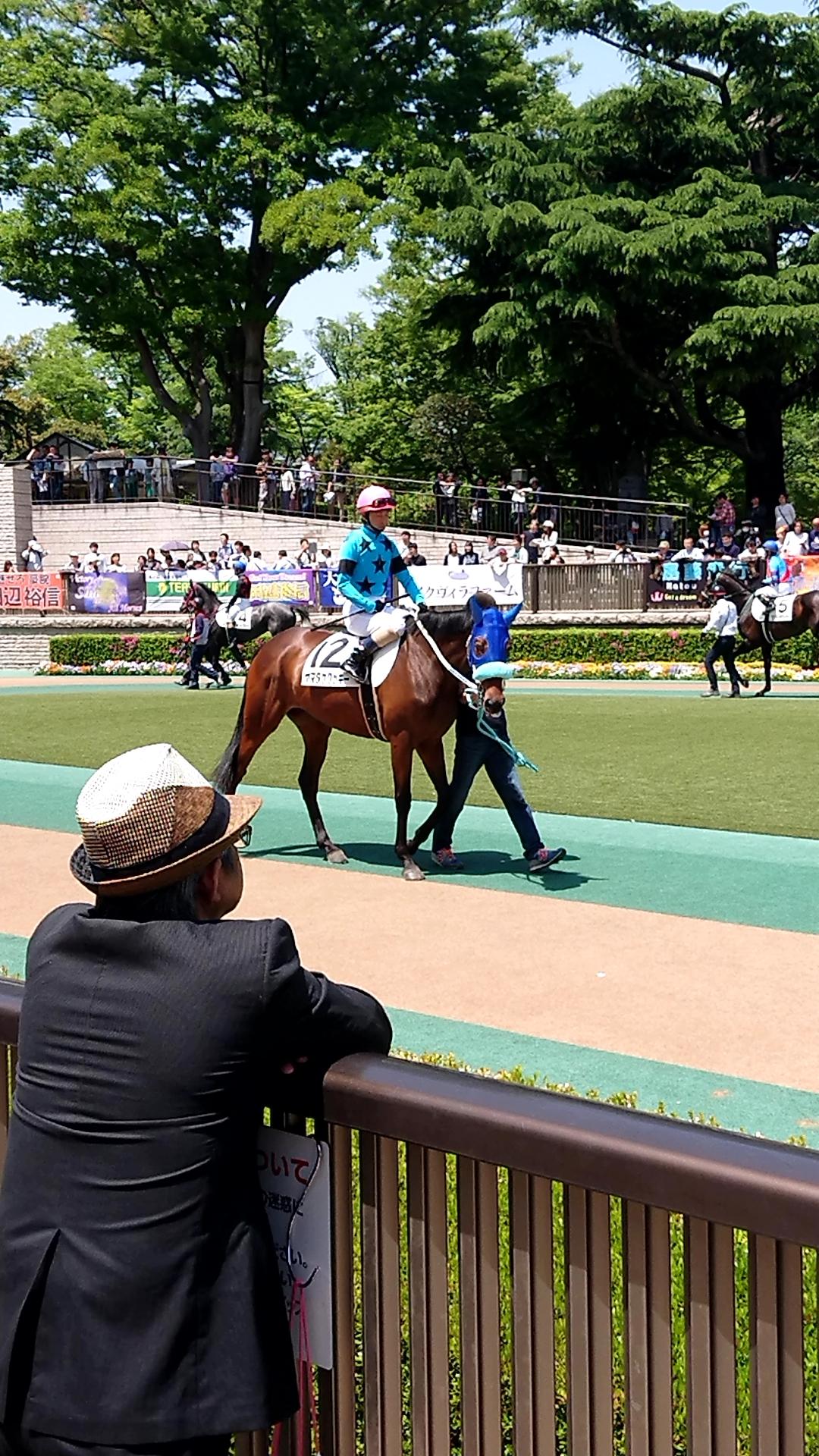 日本競馬を支えるドイツ血統 Nakameの中央競馬重賞予想