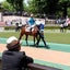 画像 NAKAMEの中央競馬重賞予想のユーザープロフィール画像