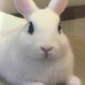 らびかあのプロフィール