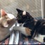 YUMIのサムネイル