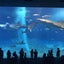 to-coのサムネイル