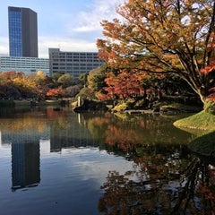 DANDANのプロフィール