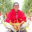 画像 しんぼりファーム 川崎市幸区で直売をしている農家 「地産地笑」のユーザープロフィール画像