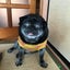 まろのサムネイル