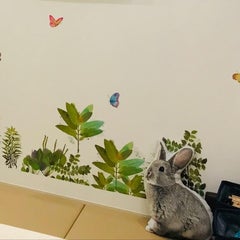 赤池エンゼル皮ふ科のプロフィール