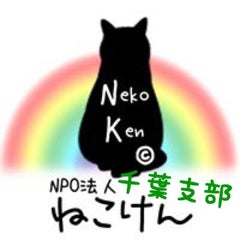 Npo法人ねこけん 千葉支部 Official Blog