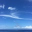 菜生のサムネイル