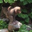 画像 地獄谷温泉 jigokudanionsen 猿の温泉 囲碁界の聖地のユーザープロフィール画像