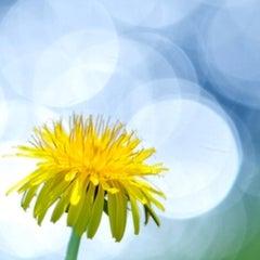 Ｋママのプロフィール