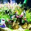 erisroのサムネイル