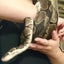 Aquariusのサムネイル