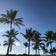 スカイの♪aloha♡diary♪