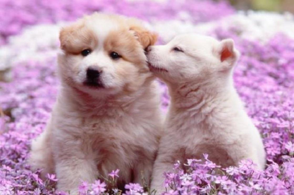 落ち込んでいる時 好きな漫画から あの日からのカサブタ