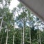 画像 林道をわたる風～軽井沢・追分暮らし～のユーザープロフィール画像