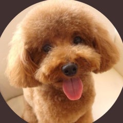 kametaro3333のプロフィール