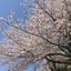 Emiのサムネイル