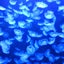 oasistakaのサムネイル